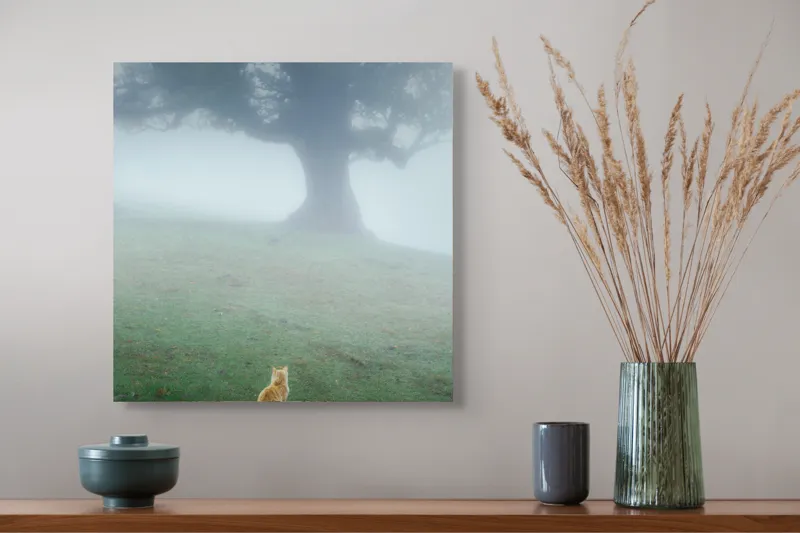 Tablou Canvas, "Pisica în fața copacului în ceață", Mister, Singurătate, Pisică, Copac, Ceață, Tranquilitate, Peisaj, Verde, Atmosferic, Contemplare, 50 x 50 cm – poza 4