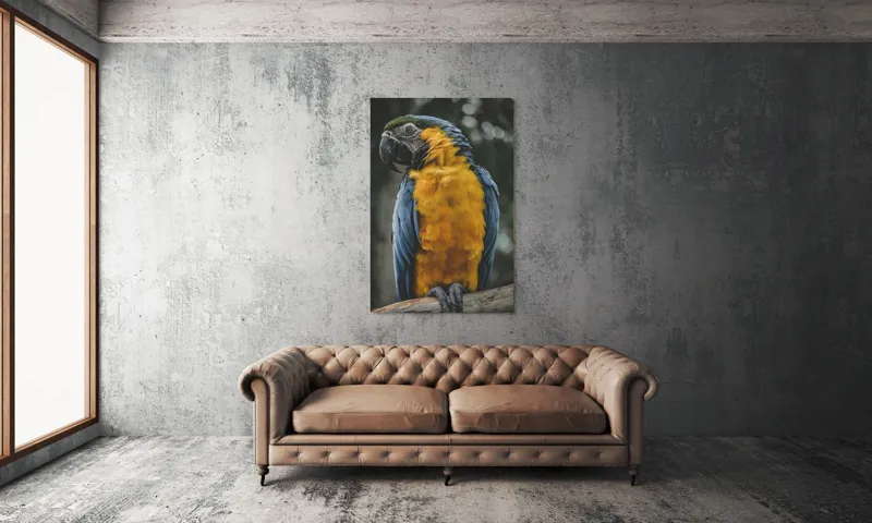 Tablou Canvas, "Curcubeul penelor de papagal", Papagal, Penaj, Colorat, Natură, Exotism, Ramură, Privire, Detaliu, Frumusețe, Tropical, 100 x 150 cm – poza 6