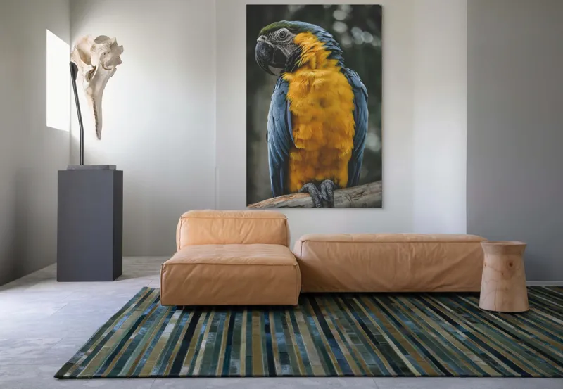Tablou Canvas, "Curcubeul penelor de papagal", Papagal, Penaj, Colorat, Natură, Exotism, Ramură, Privire, Detaliu, Frumusețe, Tropical, 100 x 150 cm – poza 7