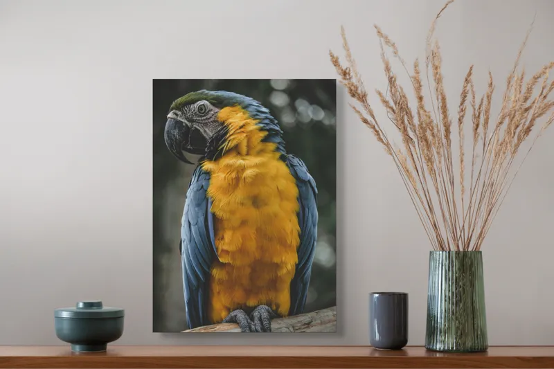 Tablou Canvas, "Curcubeul penelor de papagal", Papagal, Penaj, Colorat, Natură, Exotism, Ramură, Privire, Detaliu, Frumusețe, Tropical, 39 x 54 cm – poza 3