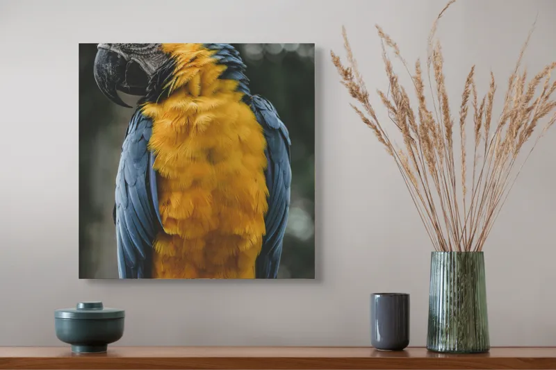 Tablou Canvas, "Curcubeul penelor de papagal", Papagal, Penaj, Colorat, Natură, Exotism, Ramură, Privire, Detaliu, Frumusețe, Tropical, 50 x 50 cm – poza 4
