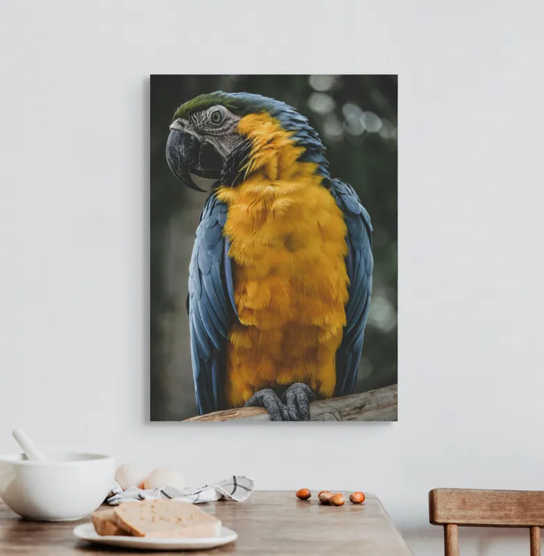 Tablou Canvas, "Curcubeul penelor de papagal", Papagal, Penaj, Colorat, Natură, Exotism, Ramură, Privire, Detaliu, Frumusețe, Tropical, 50 x 70 cm – poza 3