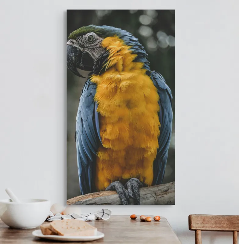 Tablou Canvas, "Curcubeul penelor de papagal", Papagal, Penaj, Colorat, Natură, Exotism, Ramură, Privire, Detaliu, Frumusețe, Tropical, 50 x 90 cm – poza 3