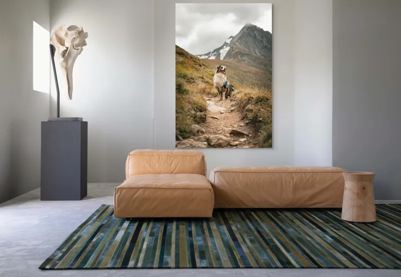 Tablou Canvas, "Câinele explorator al muntelui înalt", Montană, Noroi, Câine, Cărare, Cer Noros, Peisaj, Aventură, Libertate, Explorare, Tranquilitate, 100 x 150 cm – poza 7