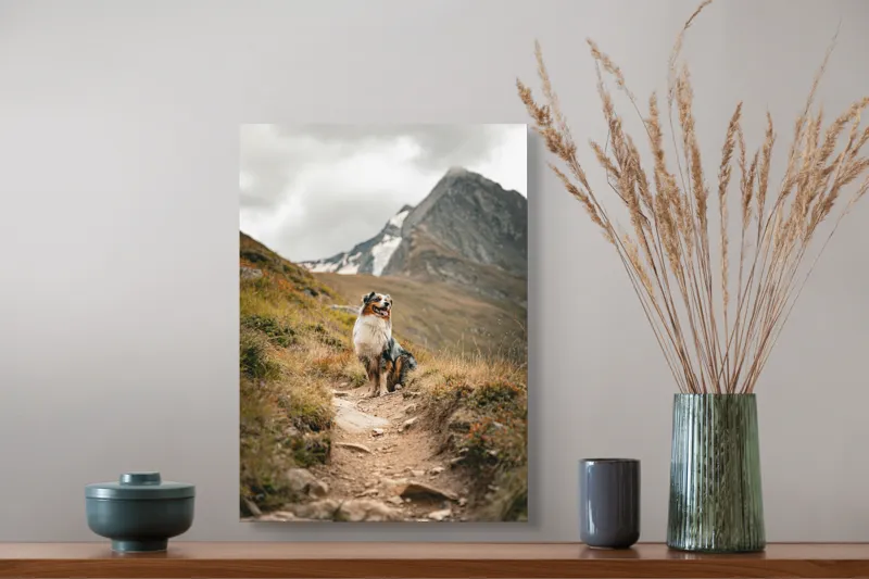Tablou Canvas, "Câinele explorator al muntelui înalt", Montană, Noroi, Câine, Cărare, Cer Noros, Peisaj, Aventură, Libertate, Explorare, Tranquilitate, 39 x 54 cm – poza 3