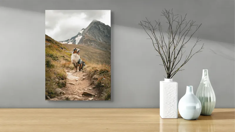 Tablou Canvas, "Câinele explorator al muntelui înalt", Montană, Noroi, Câine, Cărare, Cer Noros, Peisaj, Aventură, Libertate, Explorare, Tranquilitate, 39 x 54 cm – poza 4