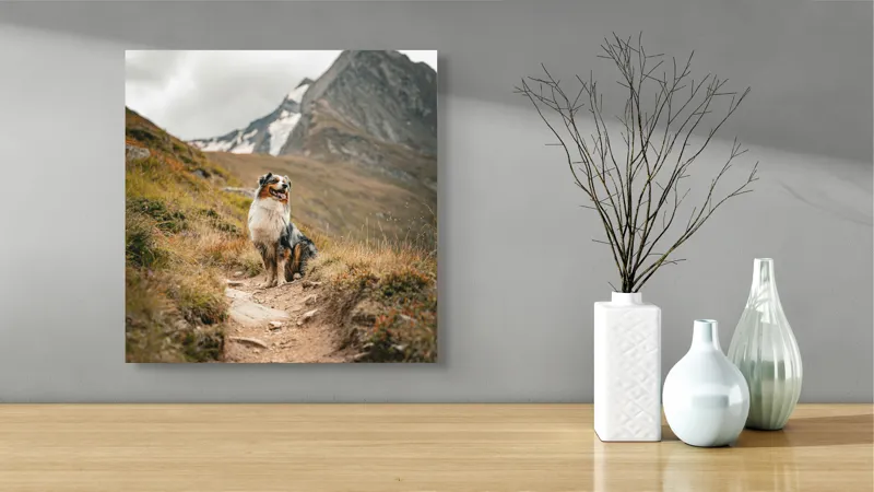 Tablou Canvas, "Câinele explorator al muntelui înalt", Montană, Noroi, Câine, Cărare, Cer Noros, Peisaj, Aventură, Libertate, Explorare, Tranquilitate, 50 x 50 cm – poza 3