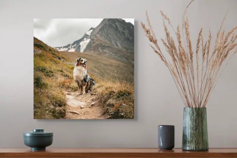 Tablou Canvas, "Câinele explorator al muntelui înalt", Montană, Noroi, Câine, Cărare, Cer Noros, Peisaj, Aventură, Libertate, Explorare, Tranquilitate, 50 x 50 cm – poza 4