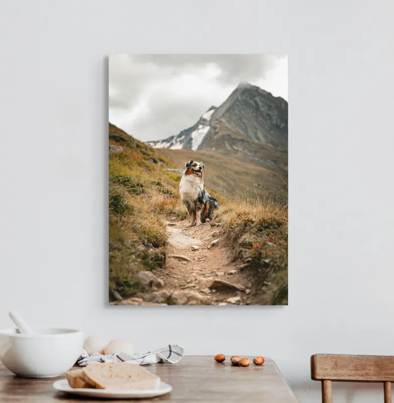 Tablou Canvas, "Câinele explorator al muntelui înalt", Montană, Noroi, Câine, Cărare, Cer Noros, Peisaj, Aventură, Libertate, Explorare, Tranquilitate, 50 x 70 cm – poza 3