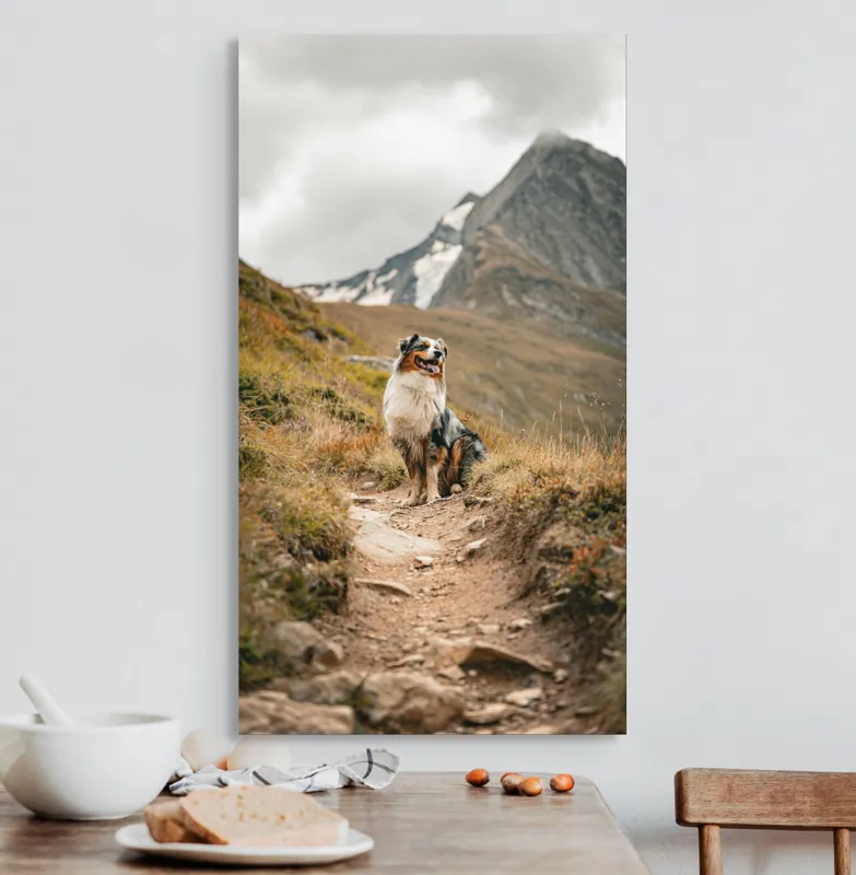 Tablou Canvas, "Câinele explorator al muntelui înalt", Montană, Noroi, Câine, Cărare, Cer Noros, Peisaj, Aventură, Libertate, Explorare, Tranquilitate, 50 x 90 cm – poza 3