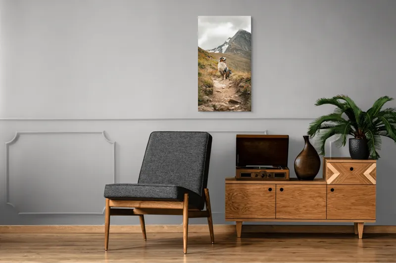 Tablou Canvas, "Câinele explorator al muntelui înalt", Montană, Noroi, Câine, Cărare, Cer Noros, Peisaj, Aventură, Libertate, Explorare, Tranquilitate, 50 x 90 cm – poza 8