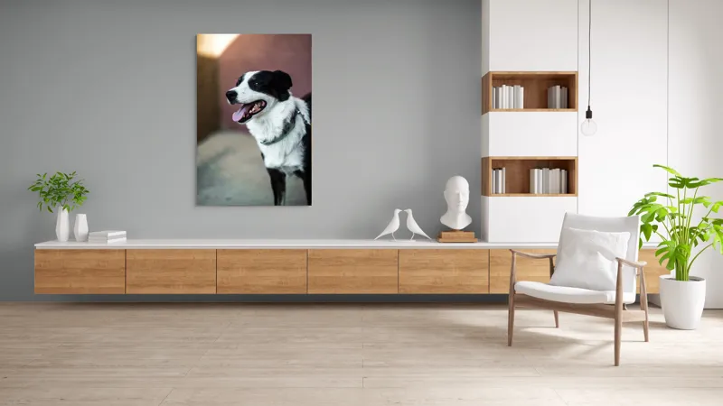 Tablou Canvas, "Neastâmpărul unui câine fericit", Câine, Zâmbet, Limbă, Blană, Coleira, Umbră, Fericire, 100 x 150 cm – poza 8