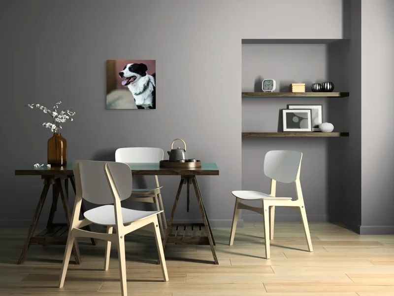 Tablou Canvas, "Neastâmpărul unui câine fericit", Câine, Zâmbet, Limbă, Blană, Coleira, Umbră, Fericire, 50 x 50 cm – poza 8