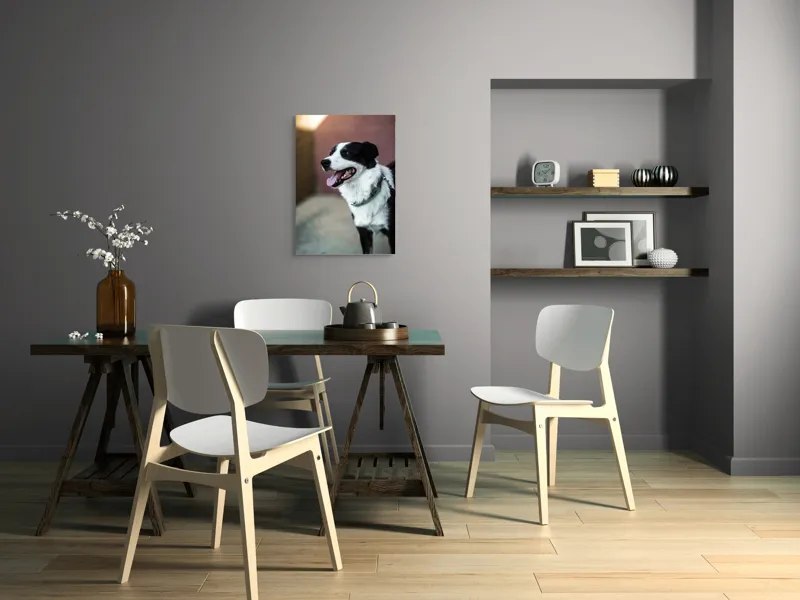 Tablou Canvas, "Neastâmpărul unui câine fericit", Câine, Zâmbet, Limbă, Blană, Coleira, Umbră, Fericire, 50 x 70 cm – poza 5