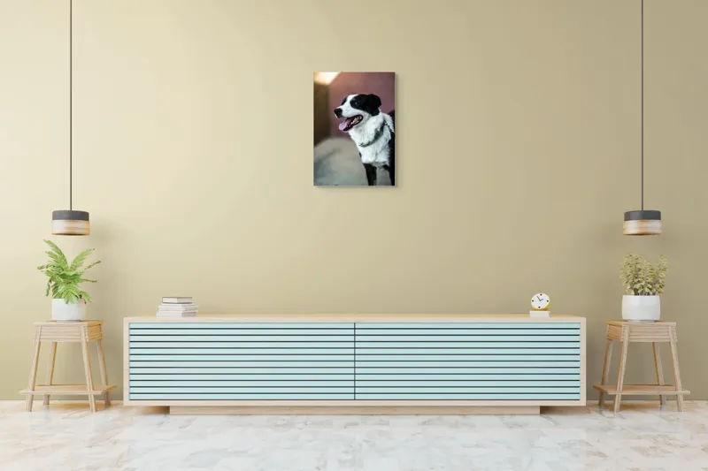 Tablou Canvas, "Neastâmpărul unui câine fericit", Câine, Zâmbet, Limbă, Blană, Coleira, Umbră, Fericire, 50 x 70 cm – poza 6