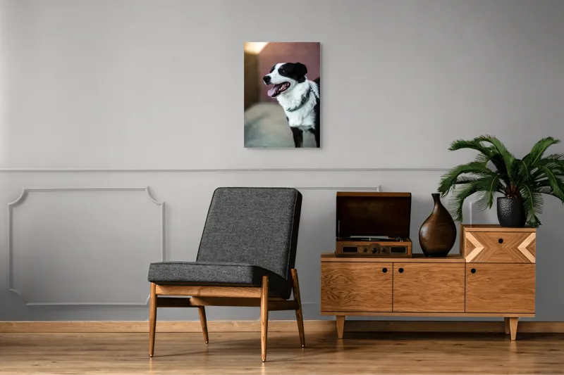 Tablou Canvas, "Neastâmpărul unui câine fericit", Câine, Zâmbet, Limbă, Blană, Coleira, Umbră, Fericire, 50 x 70 cm – poza 8