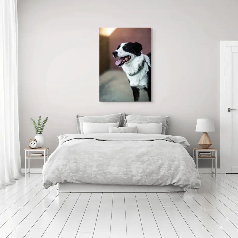 Tablou Canvas, "Neastâmpărul unui câine fericit", Câine, Zâmbet, Limbă, Blană, Coleira, Umbră, Fericire, 70 x 100 cm – poza 3