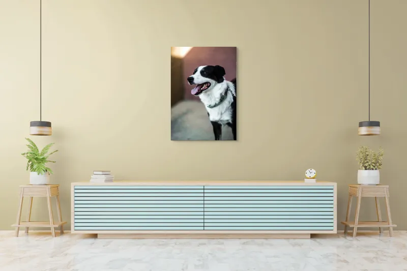 Tablou Canvas, "Neastâmpărul unui câine fericit", Câine, Zâmbet, Limbă, Blană, Coleira, Umbră, Fericire, 70 x 100 cm – poza 5