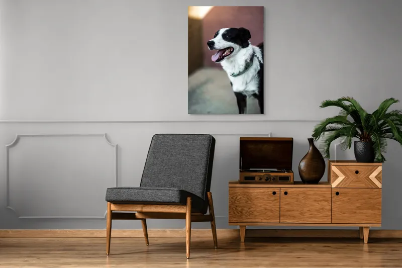 Tablou Canvas, "Neastâmpărul unui câine fericit", Câine, Zâmbet, Limbă, Blană, Coleira, Umbră, Fericire, 70 x 100 cm – poza 6