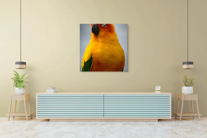 Tablou Canvas, "Papagalul auriu visând sub cerul înnorat", Papagal, Culoare, Penaj, Odihnă, Frumusețe, Natură, Păsări, Delicatețe, 100 x 100 cm – poza 5