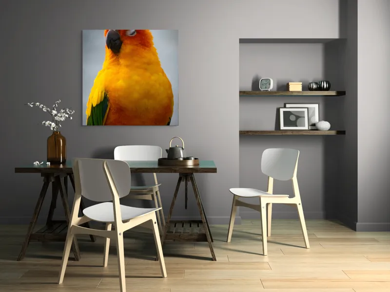 Tablou Canvas, "Papagalul auriu visând sub cerul înnorat", Papagal, Culoare, Penaj, Odihnă, Frumusețe, Natură, Păsări, Delicatețe, 100 x 100 cm – poza 6