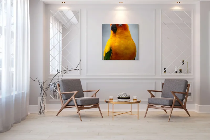 Tablou Canvas, "Papagalul auriu visând sub cerul înnorat", Papagal, Culoare, Penaj, Odihnă, Frumusețe, Natură, Păsări, Delicatețe, 100 x 100 cm – poza 7