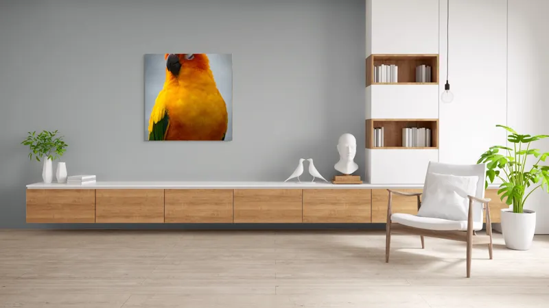 Tablou Canvas, "Papagalul auriu visând sub cerul înnorat", Papagal, Culoare, Penaj, Odihnă, Frumusețe, Natură, Păsări, Delicatețe, 100 x 100 cm – poza 8
