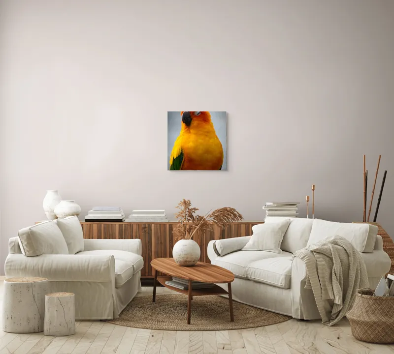 Tablou Canvas, "Papagalul auriu visând sub cerul înnorat", Papagal, Culoare, Penaj, Odihnă, Frumusețe, Natură, Păsări, Delicatețe, 50 x 50 cm – poza 7