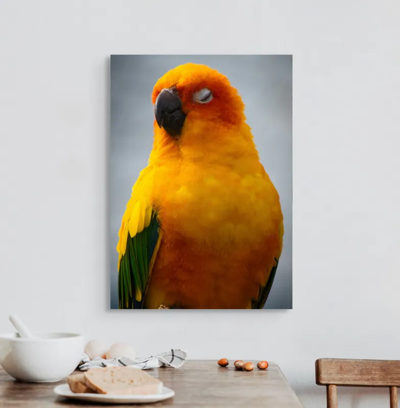 Tablou Canvas, "Papagalul auriu visând sub cerul înnorat", Papagal, Culoare, Penaj, Odihnă, Frumusețe, Natură, Păsări, Delicatețe, 50 x 70 cm – poza 3