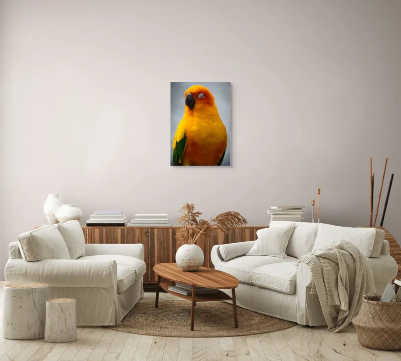 Tablou Canvas, "Papagalul auriu visând sub cerul înnorat", Papagal, Culoare, Penaj, Odihnă, Frumusețe, Natură, Păsări, Delicatețe, 50 x 70 cm – poza 4