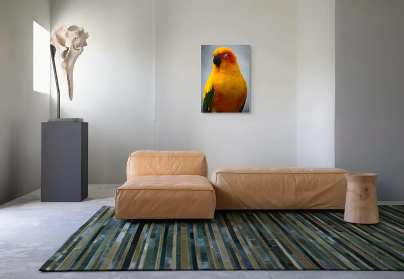 Tablou Canvas, "Papagalul auriu visând sub cerul înnorat", Papagal, Culoare, Penaj, Odihnă, Frumusețe, Natură, Păsări, Delicatețe, 50 x 70 cm – poza 7
