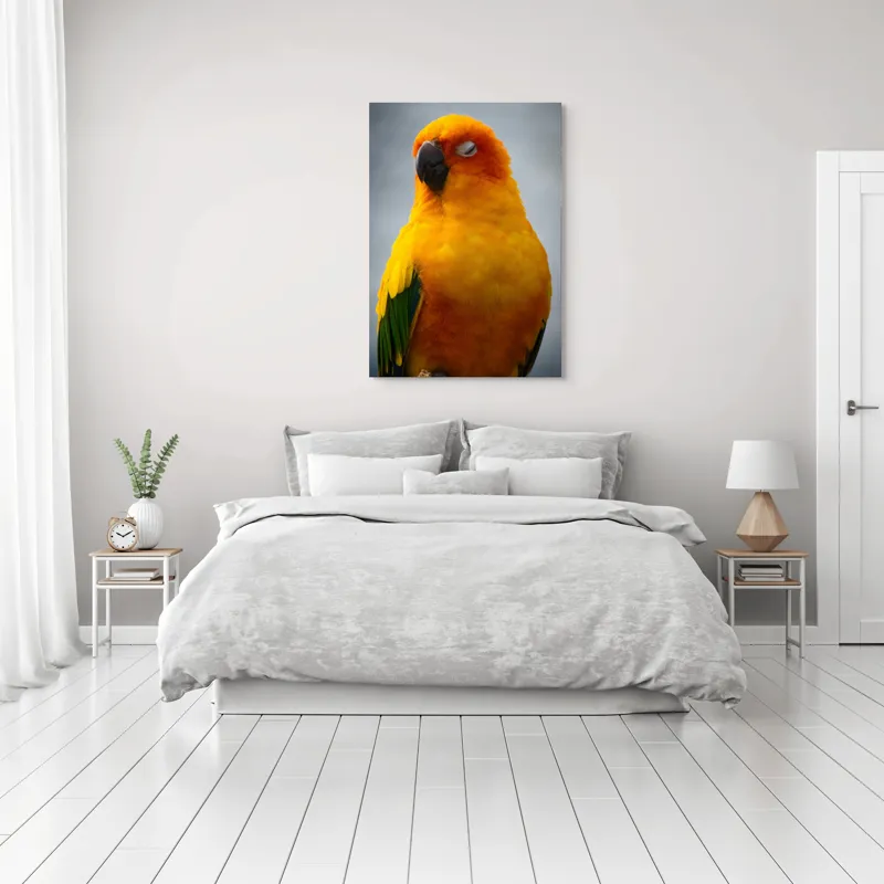 Tablou Canvas, "Papagalul auriu visând sub cerul înnorat", Papagal, Culoare, Penaj, Odihnă, Frumusețe, Natură, Păsări, Delicatețe, 70 x 100 cm – poza 3