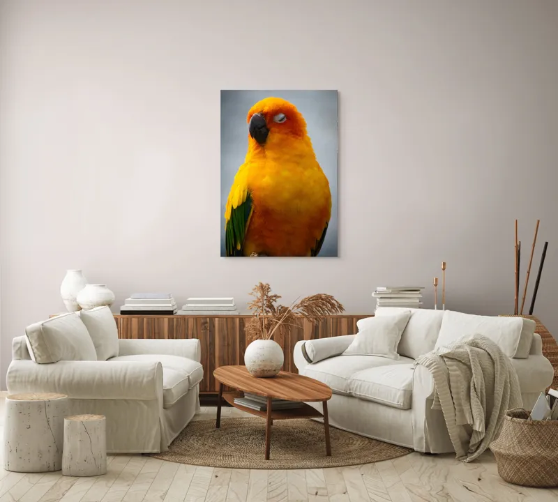 Tablou Canvas, "Papagalul auriu visând sub cerul înnorat", Papagal, Culoare, Penaj, Odihnă, Frumusețe, Natură, Păsări, Delicatețe, 70 x 100 cm – poza 4