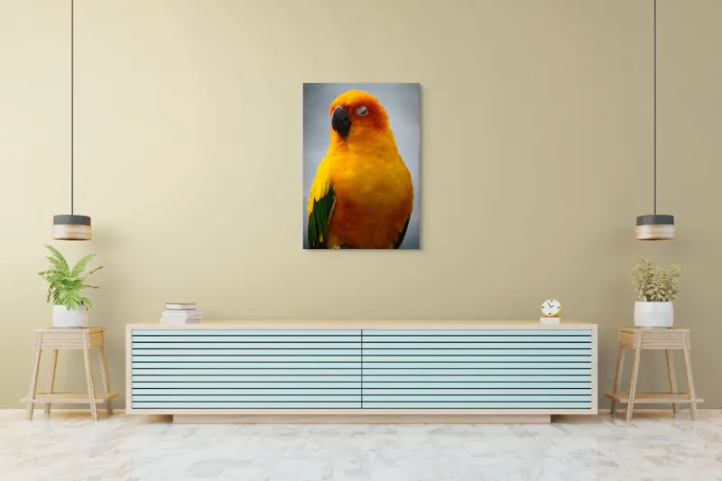 Tablou Canvas, "Papagalul auriu visând sub cerul înnorat", Papagal, Culoare, Penaj, Odihnă, Frumusețe, Natură, Păsări, Delicatețe, 70 x 100 cm – poza 5