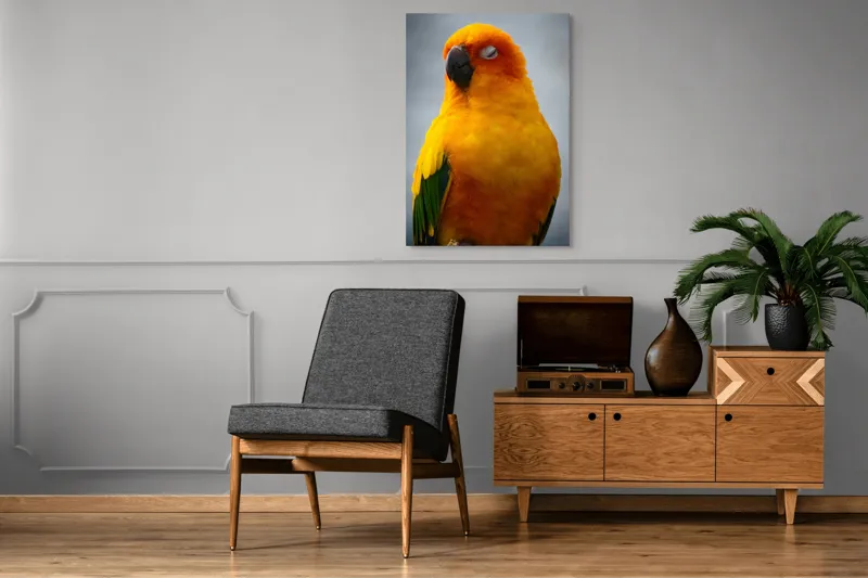 Tablou Canvas, "Papagalul auriu visând sub cerul înnorat", Papagal, Culoare, Penaj, Odihnă, Frumusețe, Natură, Păsări, Delicatețe, 70 x 100 cm – poza 6