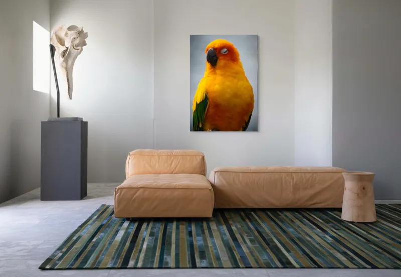 Tablou Canvas, "Papagalul auriu visând sub cerul înnorat", Papagal, Culoare, Penaj, Odihnă, Frumusețe, Natură, Păsări, Delicatețe, 70 x 100 cm – poza 7