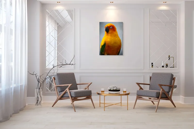 Tablou Canvas, "Papagalul auriu visând sub cerul înnorat", Papagal, Culoare, Penaj, Odihnă, Frumusețe, Natură, Păsări, Delicatețe, 70 x 100 cm – poza 8