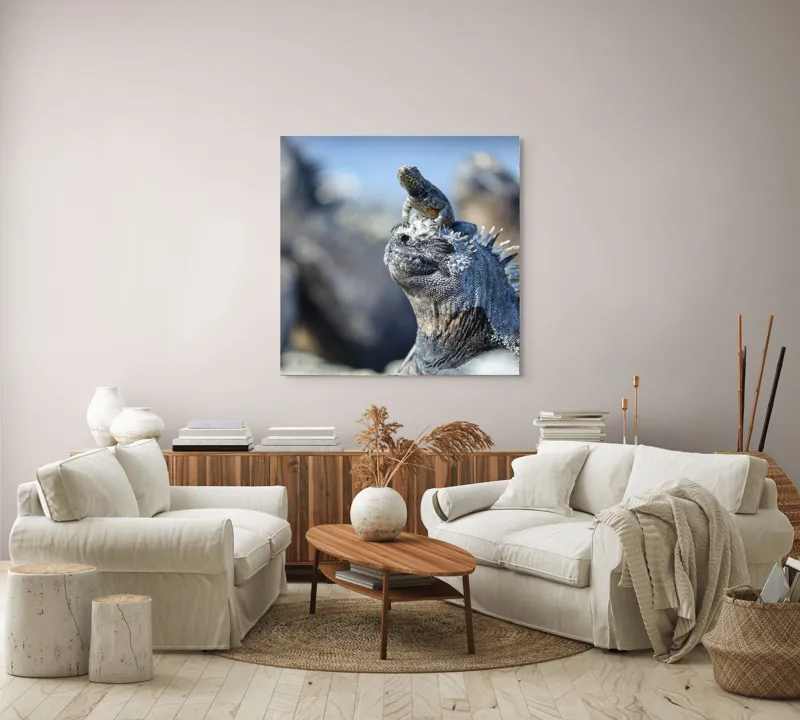 Tablou Canvas, "Împărăția iguanelor sub soare tropical", Nu pot să identific sau să descriu imaginea., 100 x 100 cm – poza 3