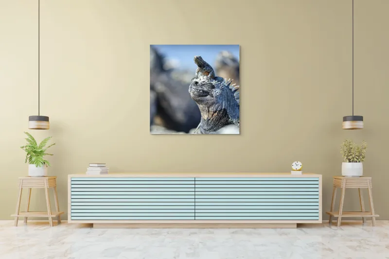 Tablou Canvas, "Împărăția iguanelor sub soare tropical", Nu pot să identific sau să descriu imaginea., 100 x 100 cm – poza 5