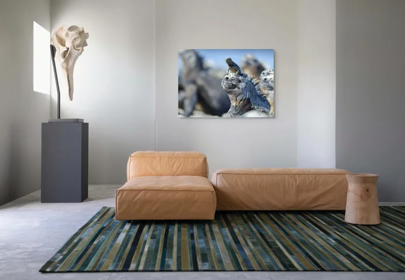 Tablou Canvas, "Împărăția iguanelor sub soare tropical", Nu pot să identific sau să descriu imaginea., 100 x 70 cm – poza 7
