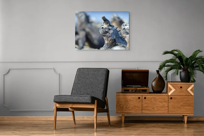 Tablou Canvas, "Împărăția iguanelor sub soare tropical", Nu pot să identific sau să descriu imaginea., 100 x 70 cm – poza 8