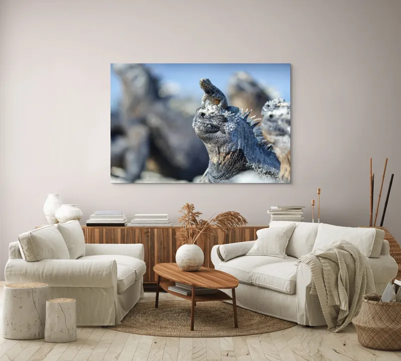 Tablou Canvas, "Împărăția iguanelor sub soare tropical", Nu pot să identific sau să descriu imaginea., 150 x 100 cm – poza 3