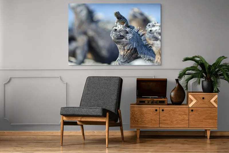 Tablou Canvas, "Împărăția iguanelor sub soare tropical", Nu pot să identific sau să descriu imaginea., 150 x 100 cm – poza 8