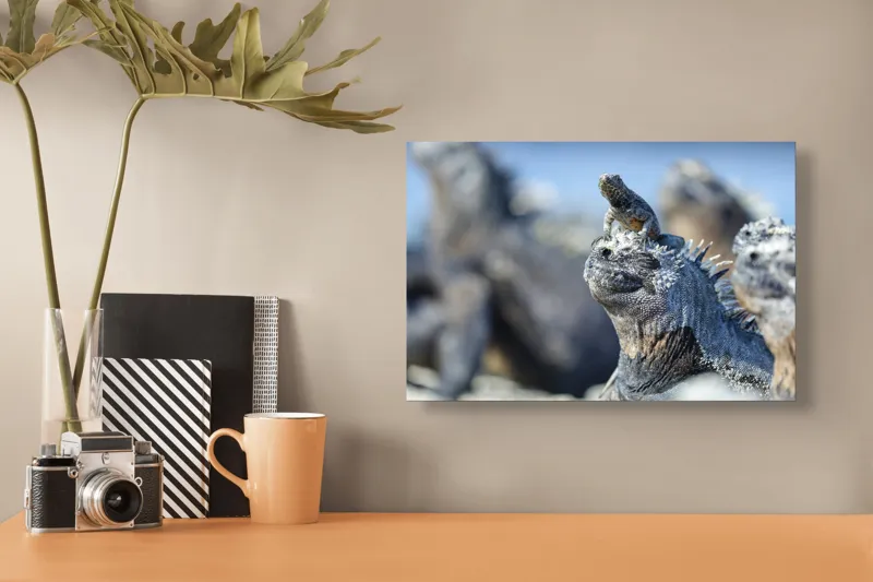 Tablou Canvas, "Împărăția iguanelor sub soare tropical", Nu pot să identific sau să descriu imaginea., 39 x 26 cm – poza 3
