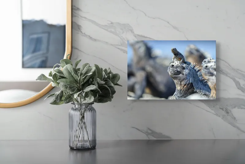 Tablou Canvas, "Împărăția iguanelor sub soare tropical", Nu pot să identific sau să descriu imaginea., 39 x 26 cm – poza 5