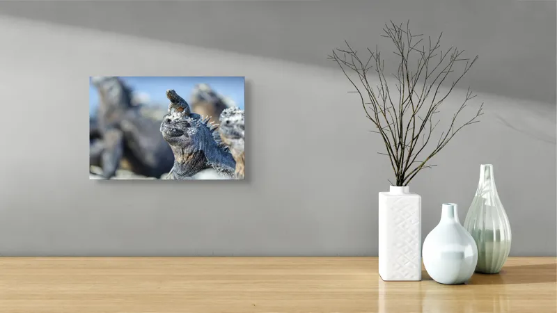 Tablou Canvas, "Împărăția iguanelor sub soare tropical", Nu pot să identific sau să descriu imaginea., 39 x 26 cm – poza 8