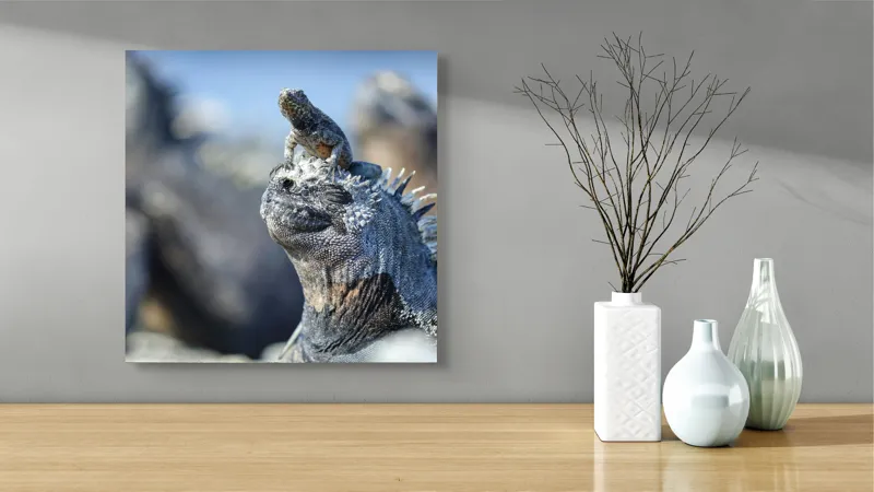 Tablou Canvas, "Împărăția iguanelor sub soare tropical", 50 x 50 cm – poza 3