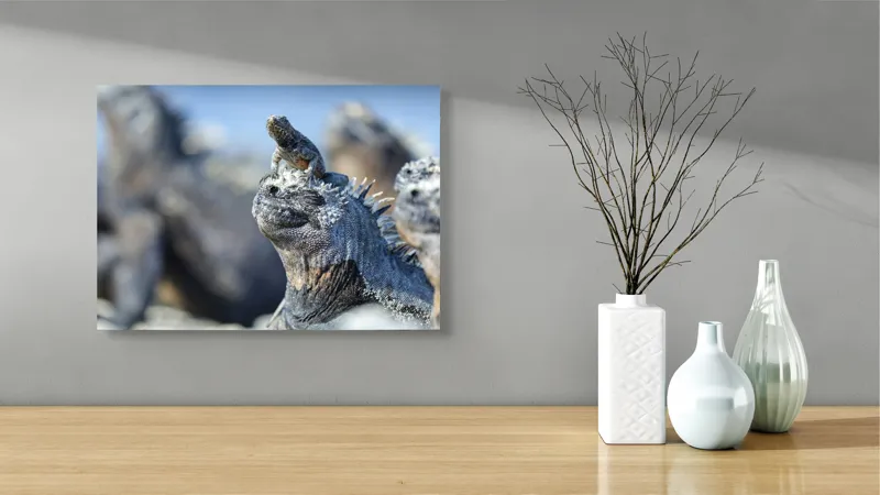 Tablou Canvas, "Împărăția iguanelor sub soare tropical", 54 x 39 cm – poza 3
