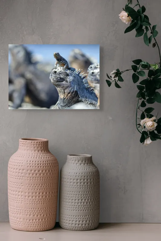 Tablou Canvas, "Împărăția iguanelor sub soare tropical", 54 x 39 cm – poza 8