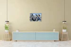 Tablou Canvas, "Împărăția iguanelor sub soare tropical", 70 x 50 cm – poza 7
